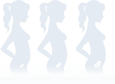 Anasayfa